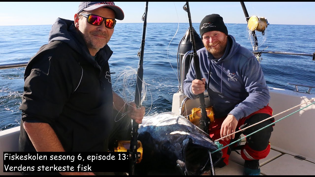Fiskeskolen sesong 6, episode 13_ Verdens sterkeste fisk