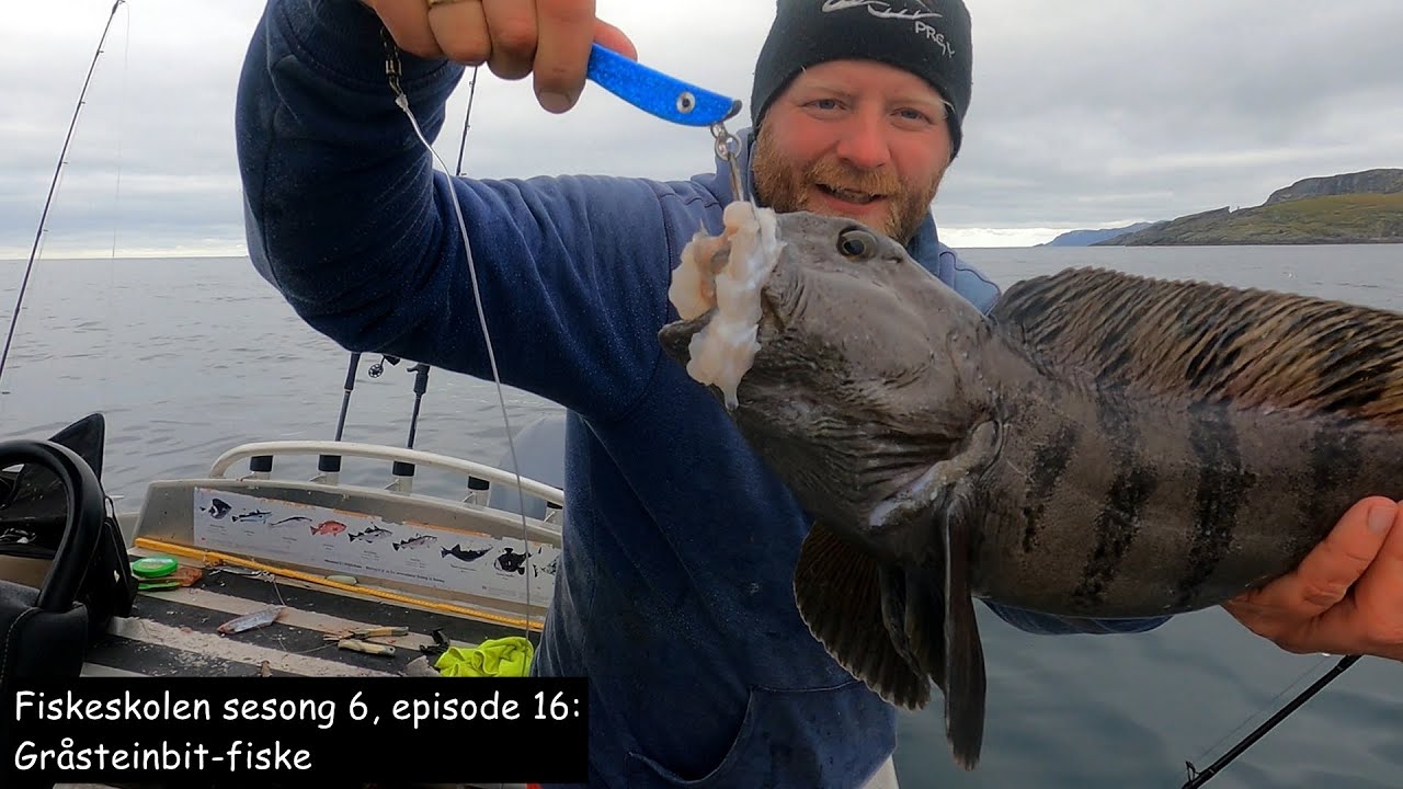 Fiskeskolen sesong 6, episode 16_ Gråsteinbit-fiske