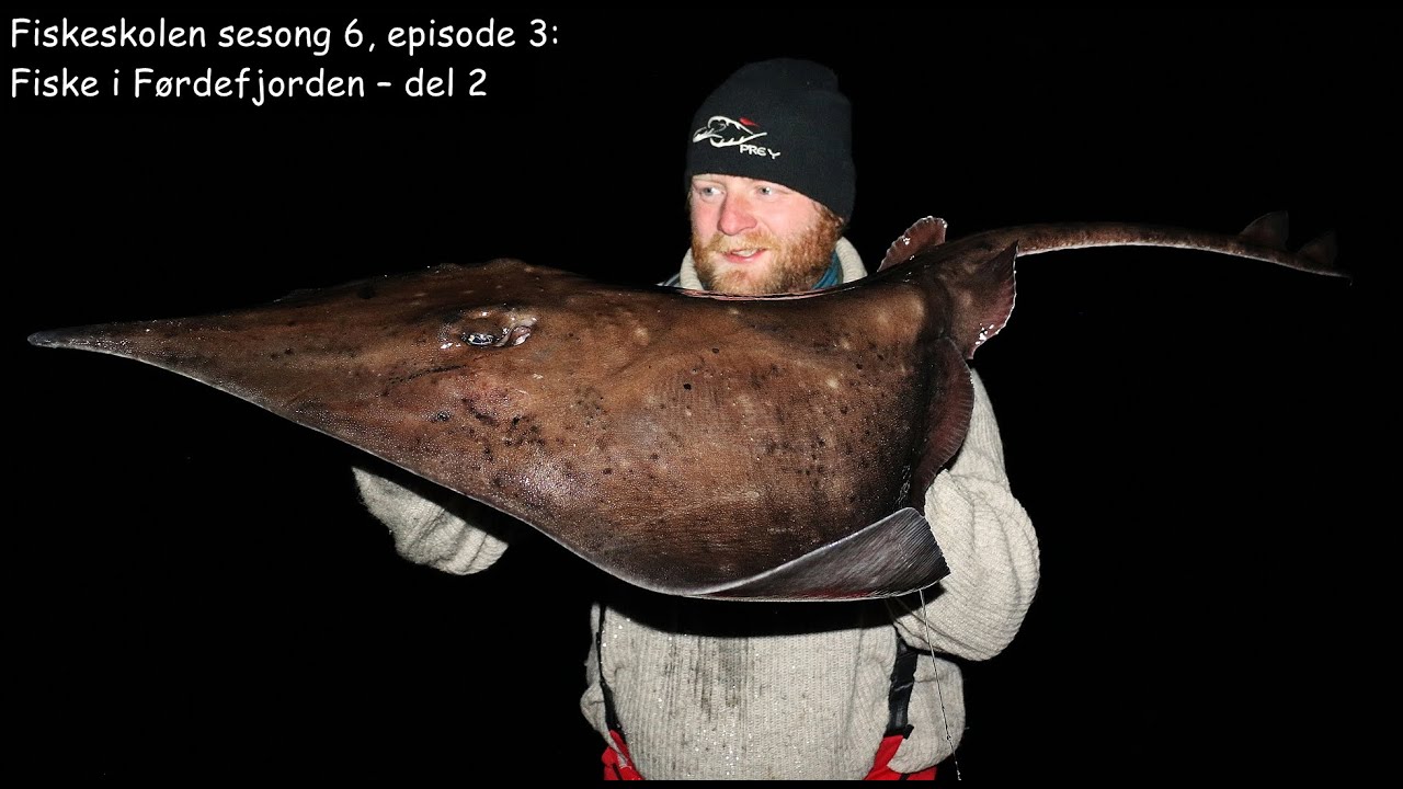 Fiskeskolen sesong 6, episode 3_ Fiske i Førdefjorden – del 2