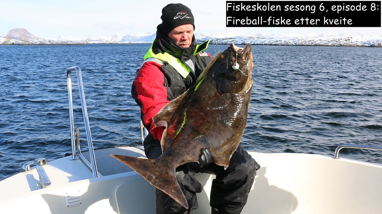 Fiskeskolen sesong 6, episode 8_ Fireball-fiske etter kveite