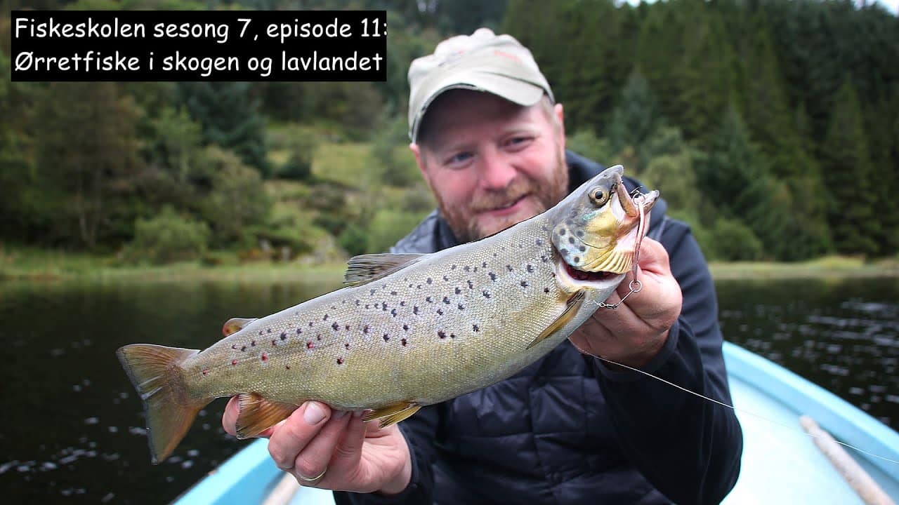 Fiskeskolen sesong 7, episode 11_ Ørretfiske i skogen og lavlandet
