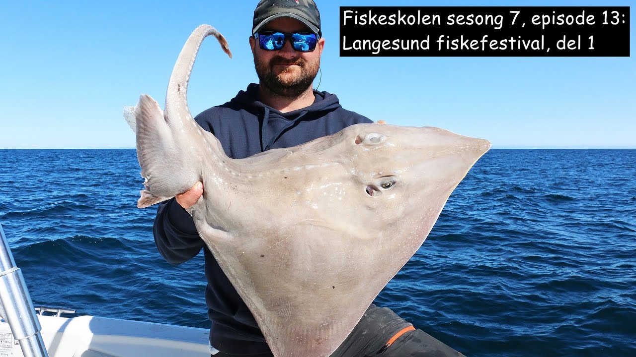 Fiskeskolen sesong 7, episode 13_ Langesund Fiskefestival, del 1