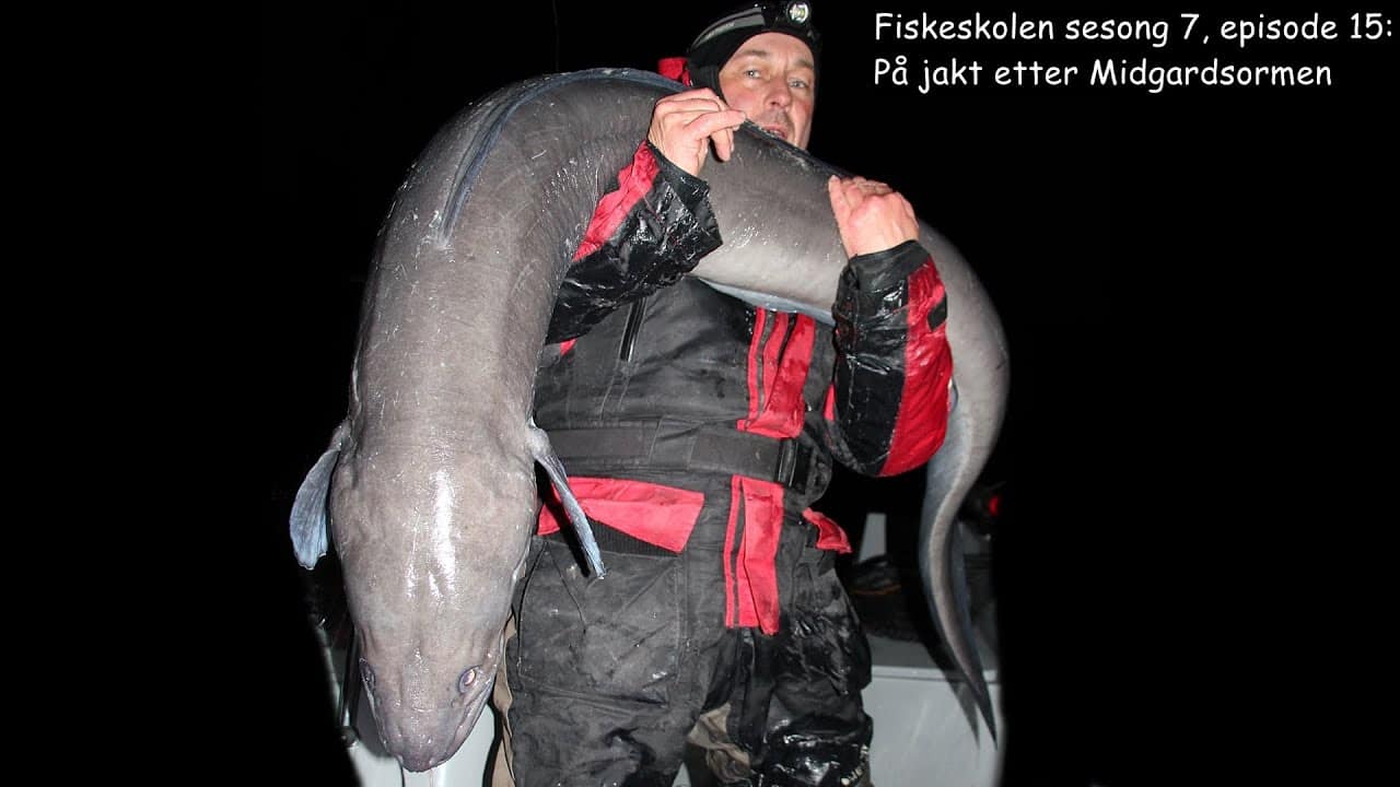 Fiskeskolen sesong 7, episode 15_ På jakt etter Midgardsormen