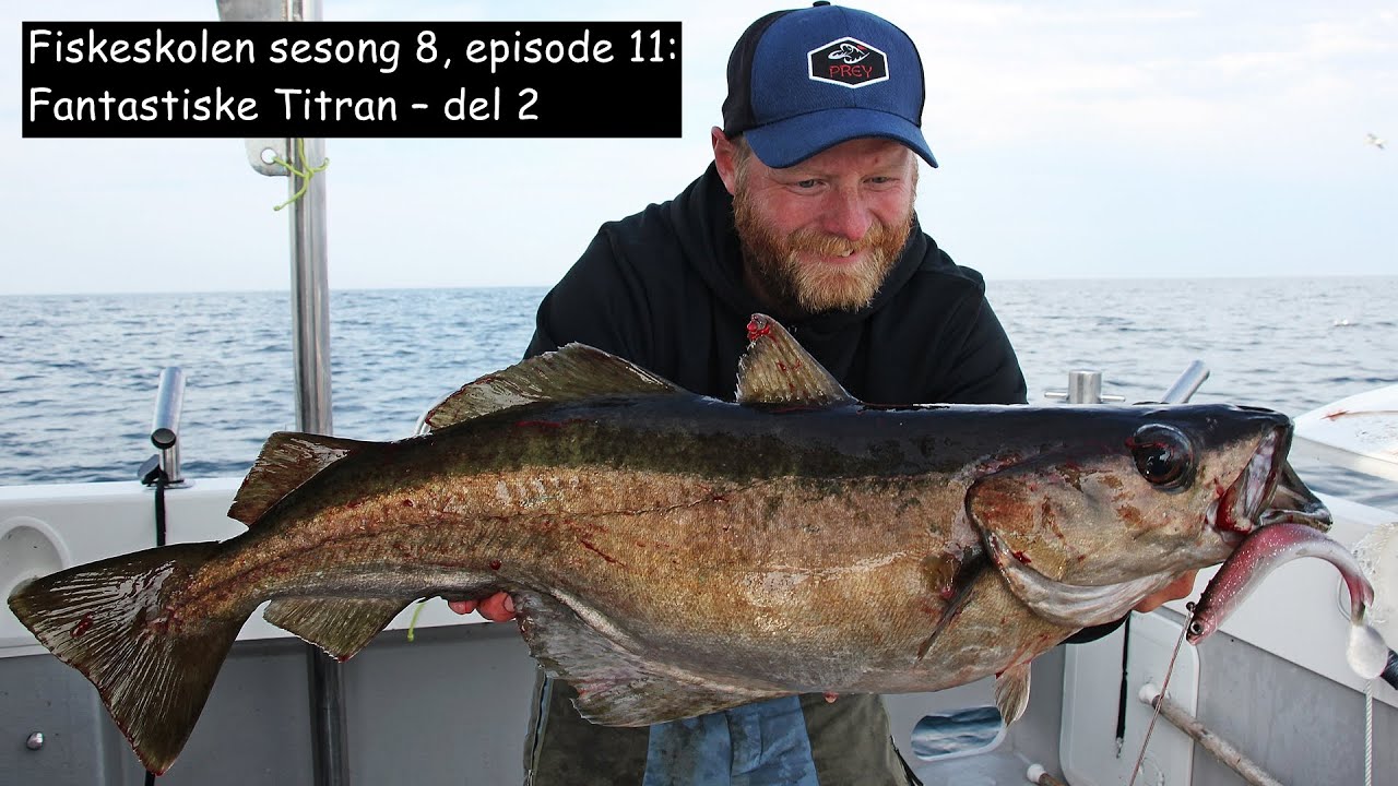 Fiskeskolen sesong 8, episode 11- Fantastiske Titran – del 2