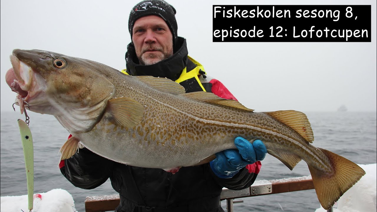 Fiskeskolen sesong 8, episode 12- Lofotcupen