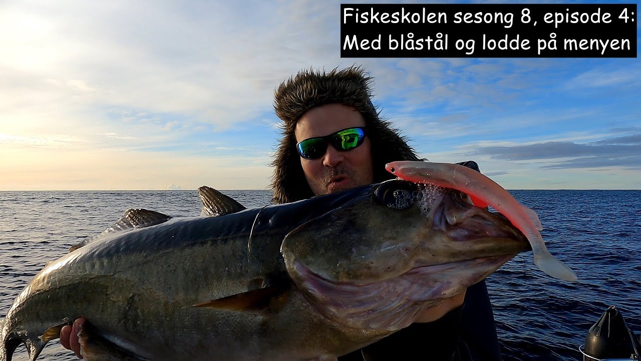 Fiskeskolen sesong 8, episode 4_ Med blåstål og lodde på menyen