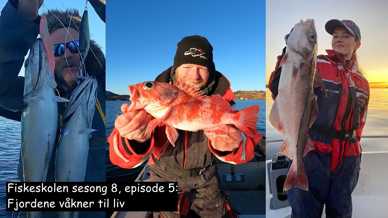 Fiskeskolen sesong 8, episode 5_ Fjordene våkner til liv