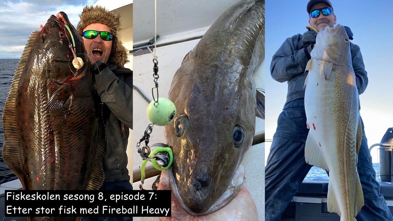 Fiskeskolen sesong 8, episode 7_ Etter stor fisk med Fireball Heavy