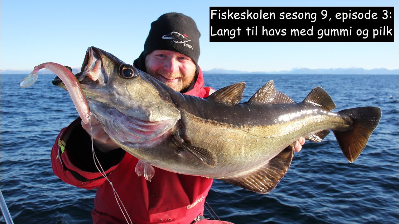 Fiskeskolen sesong 9, episode 3_ Langt til havs med gummi og pilk